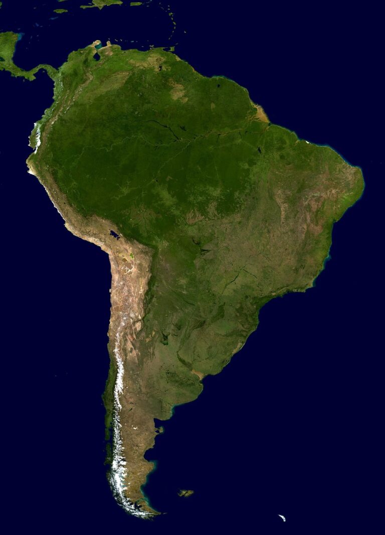 Satellite view of South America. The southern part of the continent has regions where eucalyptus plantations support sustainable timber mat production and carbon sequestration.
