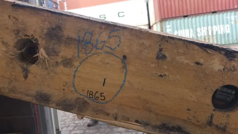 Freeze sampling point 1865 On Eucalyptus timber mat