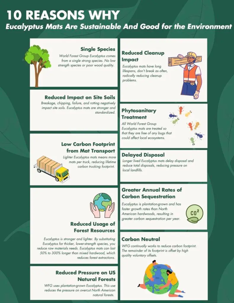 10 Reasons Why Eucalyptus mats are better for the environment