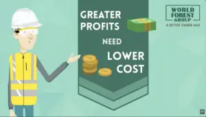 Profits with Eucalyptus timber mats illustration showing cost reduction strategy